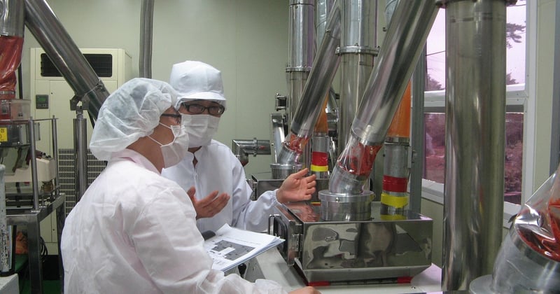 Aliments transformés ou bruts : le vrai coût sur votre santé et votre budget