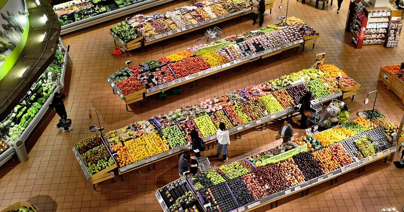 Les fruits et légumes colorés comme modulateurs