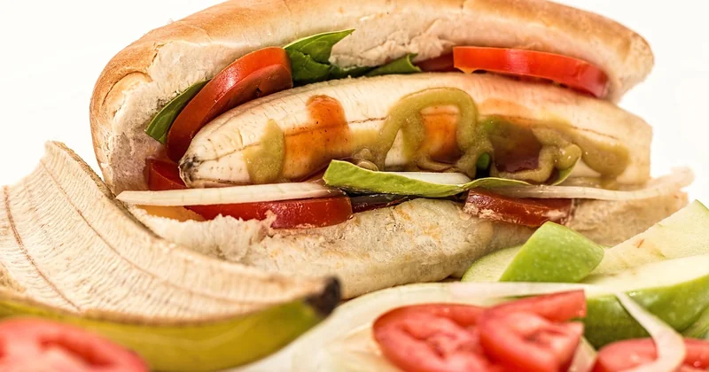 Des fonctionnalités qui dépassent le simple comptage calorique